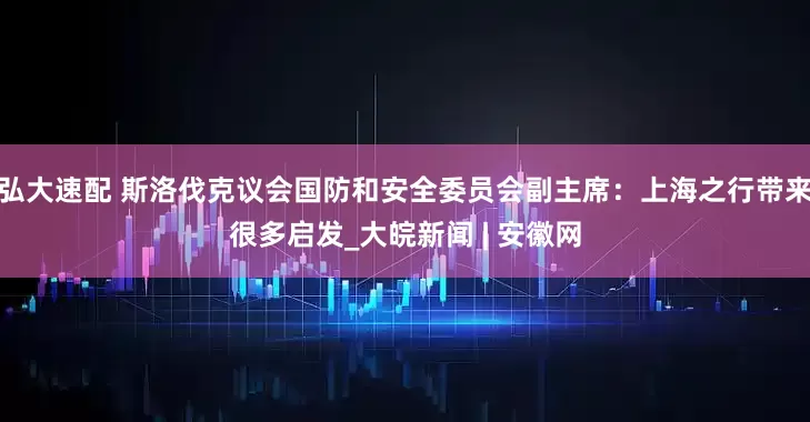 弘大速配 斯洛伐克议会国防和安全委员会副主席：上海之行带来很多启发_大皖新闻 | 安徽网