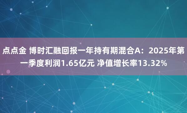 点点金 博时汇融回报一年持有期混合A：2025年第一季度利润1.65亿元 净值增长率13.32%