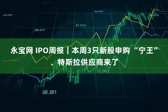永宝网 IPO周报｜本周3只新股申购 “宁王”、特斯拉供应商来了